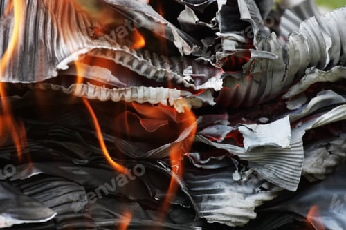 Preview: Burning Cardboard