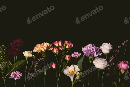 Preview: beautiful various fresh blossoming flowers isolated on black