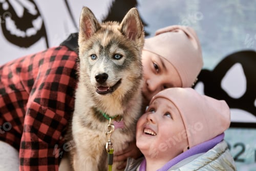 Preview: Two little girls in pink hats with Siberian Husky puppy dog, portrait of Husky puppy and children