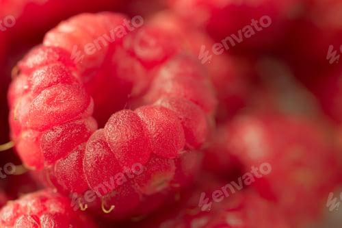 Preview: Sweet raspberry. Macro.