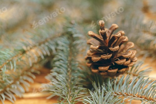 Preview: Fir tree branch on wooden background close up