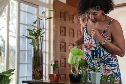 Preview: Woman Watering Houseplants in Home Interior