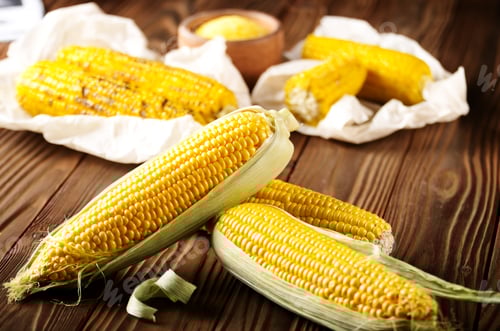 Preview: Kitchen table with raw and grilled sweet corn cob on baking pape