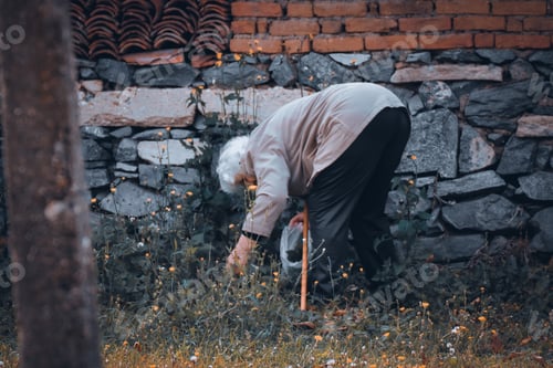 Preview: Senior woman picking a nettle in the garden
