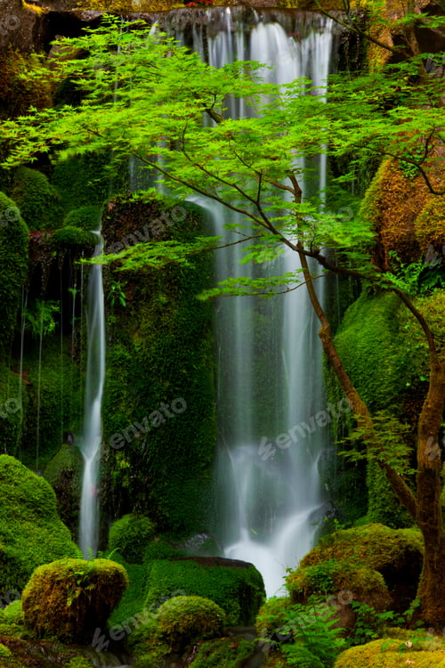 Preview: Waterfall, Columbia River Gorge, Oregon, USA