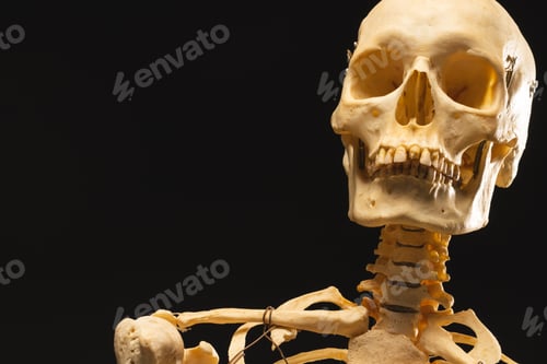 Preview: Plastic skeleton with copy space on black background