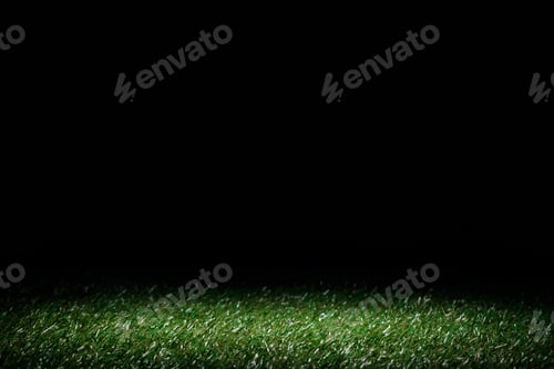 Preview: lawn with green grass on black, floral background
