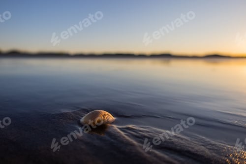 Visualização: Bela foto de uma concha ao nascer do sol sobre a praia de Holden na Carolina do Norte