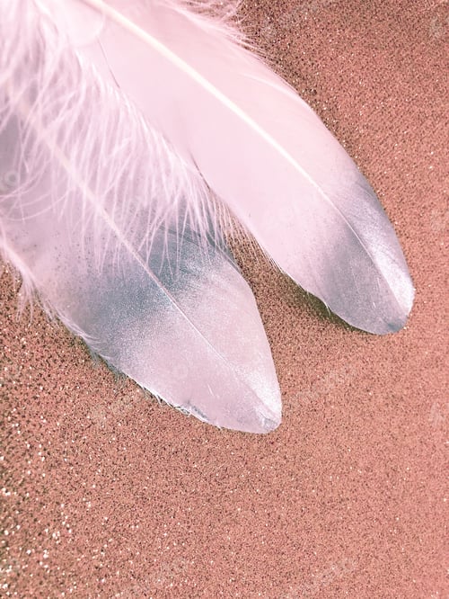 Preview: White feathers dipped in silver on glittering pink gold background with space for copy