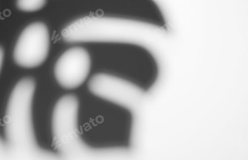 Preview: Shadows from monstera leaves