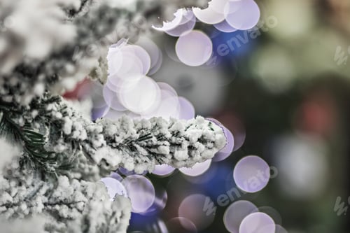 Preview: Fir branches in the snow on a bokeh background