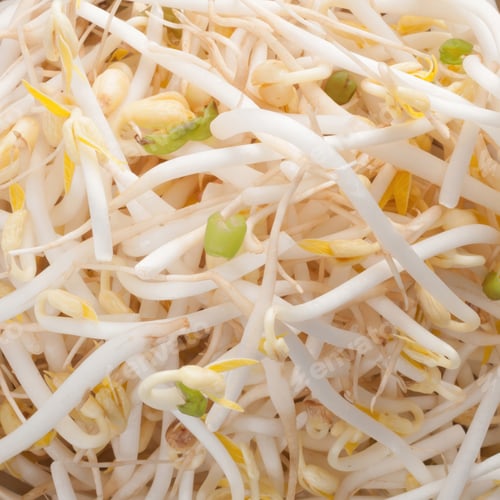 Preview: Mung bean sprouts forming an intricate food background