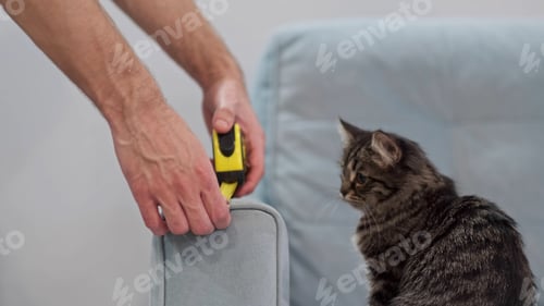 Preview: person uses a building meter to measure a sofa, moving house, choosing a sofa in a store. Home