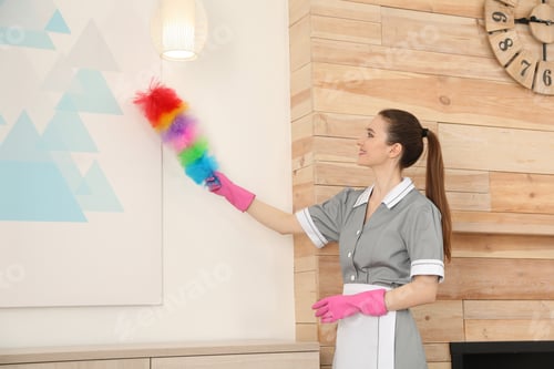 Preview: Young chambermaid wiping dust with brush in hotel room
