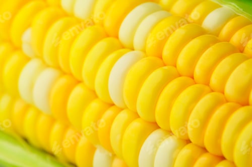 Preview: corn cob