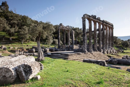 Preview: Temple of Zeus Lepsinos Euromus Turkey