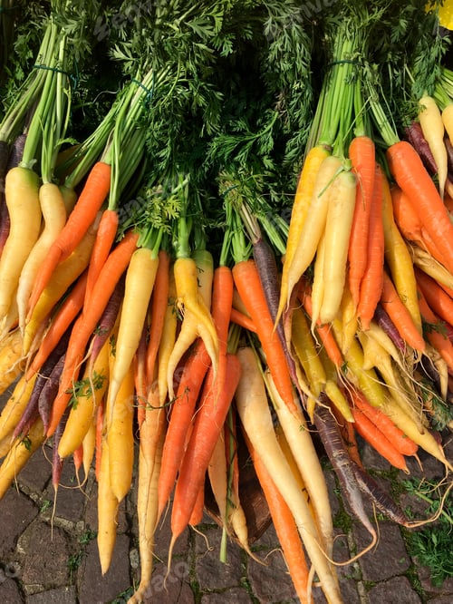 Preview: Organic Carrots - freshly picked