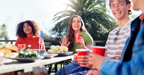 Preview: Conversation, alcohol and group of friends outdoor for fourth of July celebration, social event or