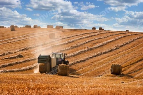 Preview: a tractor forms bales on the hills of straw field
