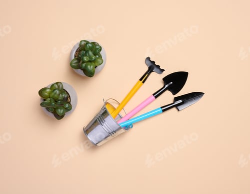 Preview: Miniature garden tools for transplanting plants, home hobby, top view