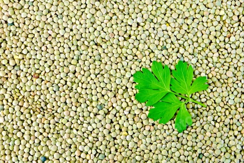 Preview: Lentils green with parsley