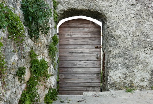 Preview: Old weathered door on stone house, rustic, green plant on wall, wooden doors.