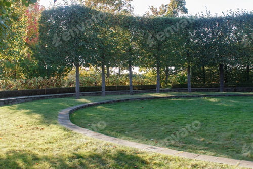 Preview: Park with green lawn, trees and trimmed bushes.