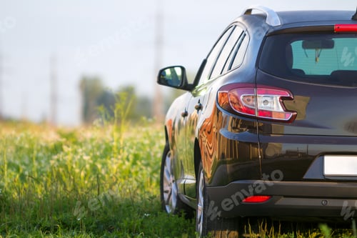 Preview: Back view of modern new shiny empty black car parked outside road in grassy looming field on bright