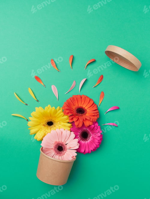 Preview: spring bursts with an explosion of colors and flowers. Orange, yellow and fuchsia gerbera flowers