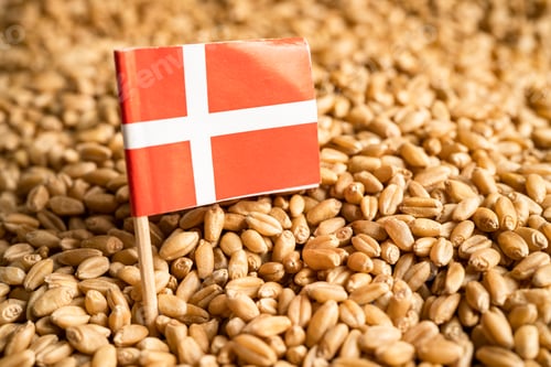 Preview: Grains wheat with Denmark flag, trade export and economy concept.
