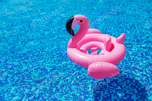 Preview: Circle of flamingos in the pool. Selective focus.