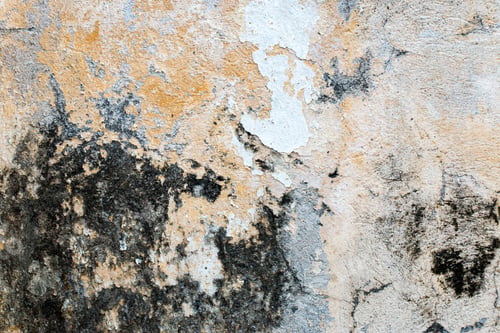 Preview: white concrete wall texture