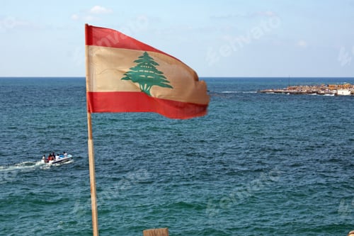 Preview: Wide angle shot of a flag with a tree on it behind an ocean