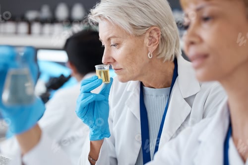 Preview: Essential oil, development and scientist smell sample in a lab doing research of organic and natura