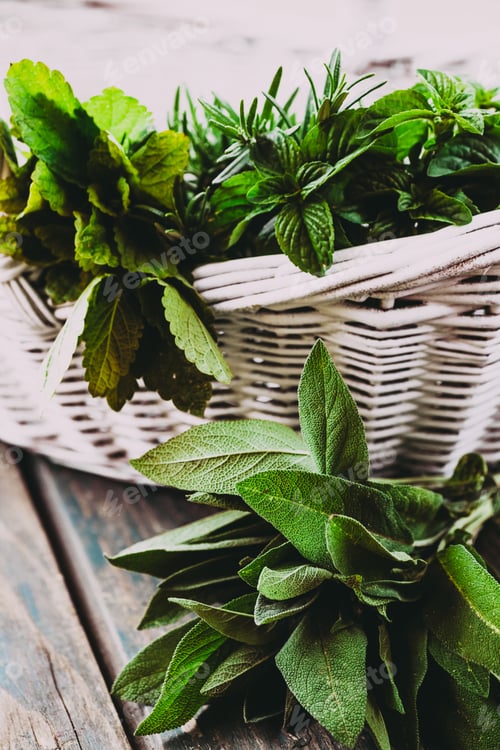 Preview: Fresh Herbs