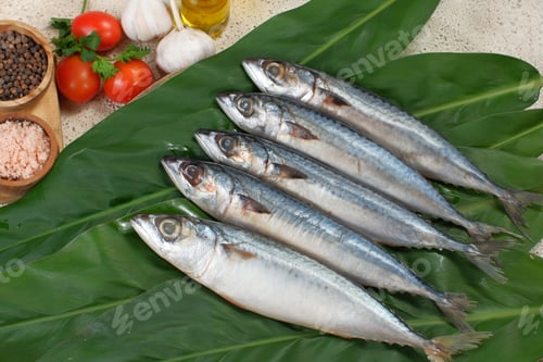 Preview: Fresh sardines fish with ingredients ,Fresh seafood concept.