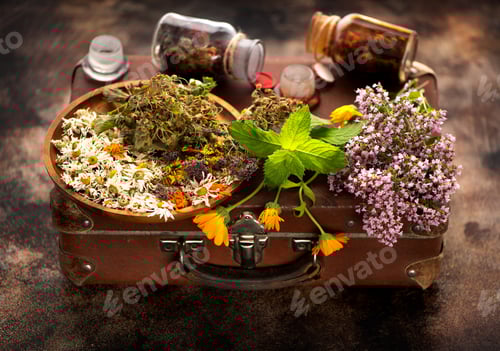 Visualização: Ervas e flores medicinais curativas