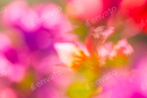 Preview: Abstract pink floral macro background,