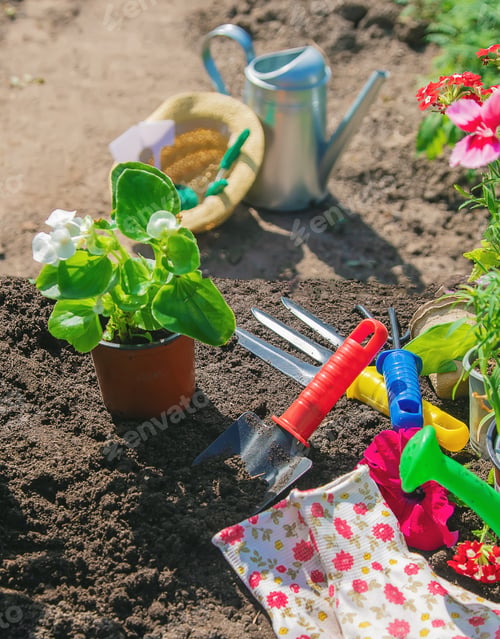 Preview: A little girl is planting flowers. The young gardener. Selective focus.