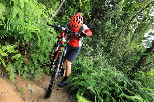 Preview: Cross country cyclist with mountain bike in the forest