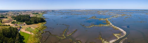 Preview: Aerial View of Ribeira das Teixugueiras