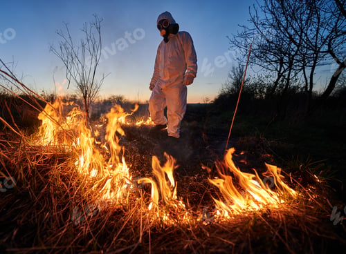 Preview: Firefighter ecologist working in field with wildfire.