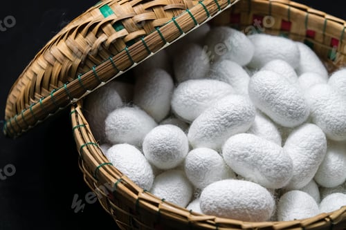 Preview: white silk cocoon, silky, fiber
