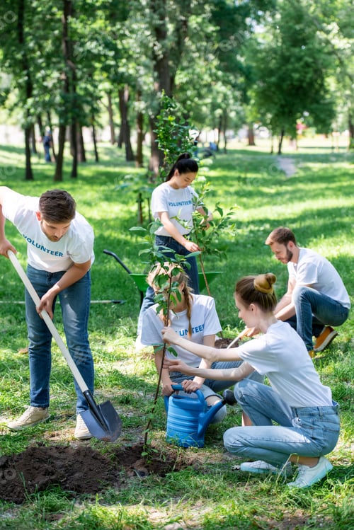 Preview: friends volunteering and planting new trees in park together