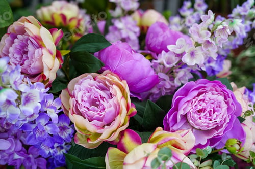 Preview: assortment of pink and purple flowers in full bloom with lush green leaves