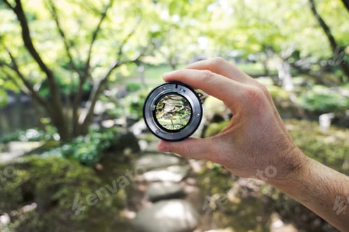 Preview: Lens focus on forest stream through camera lens