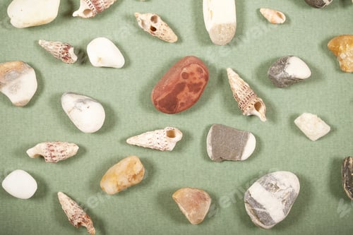 Preview: Shells And Stones Lie On A Bright Background