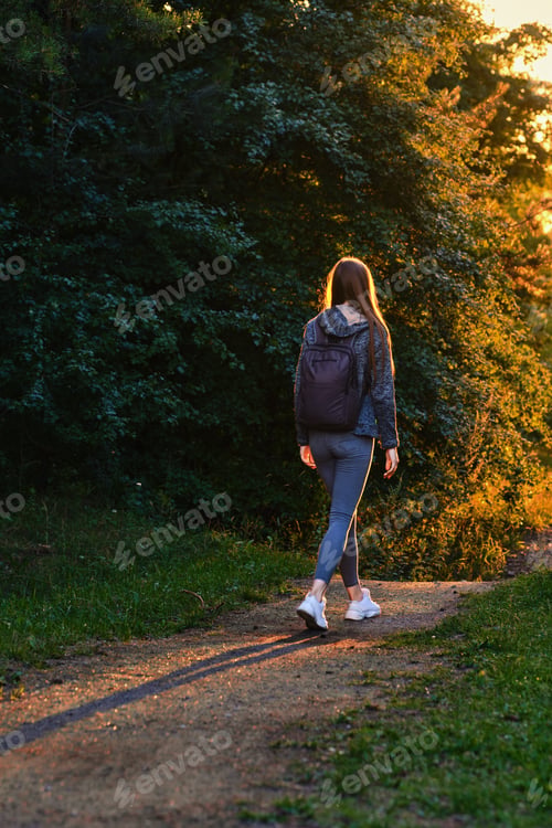 Preview: Rear view of a woman tourist walks along forest path in rays of sunset