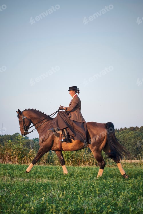 Preview: Woman riding and training dressage horse in field