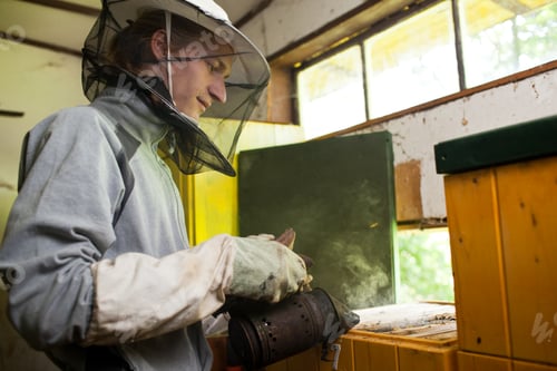 Preview: Beekeeper working in an apiary holding a frame of honeycomb cove
